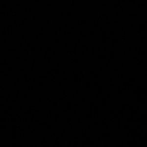 Meet your Posher, Saralicia